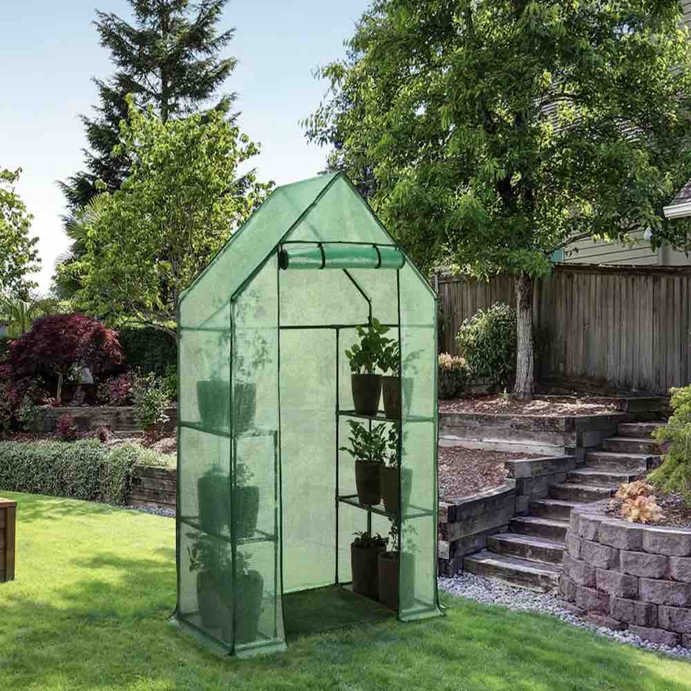Walk-In Greenhouse: image 4
