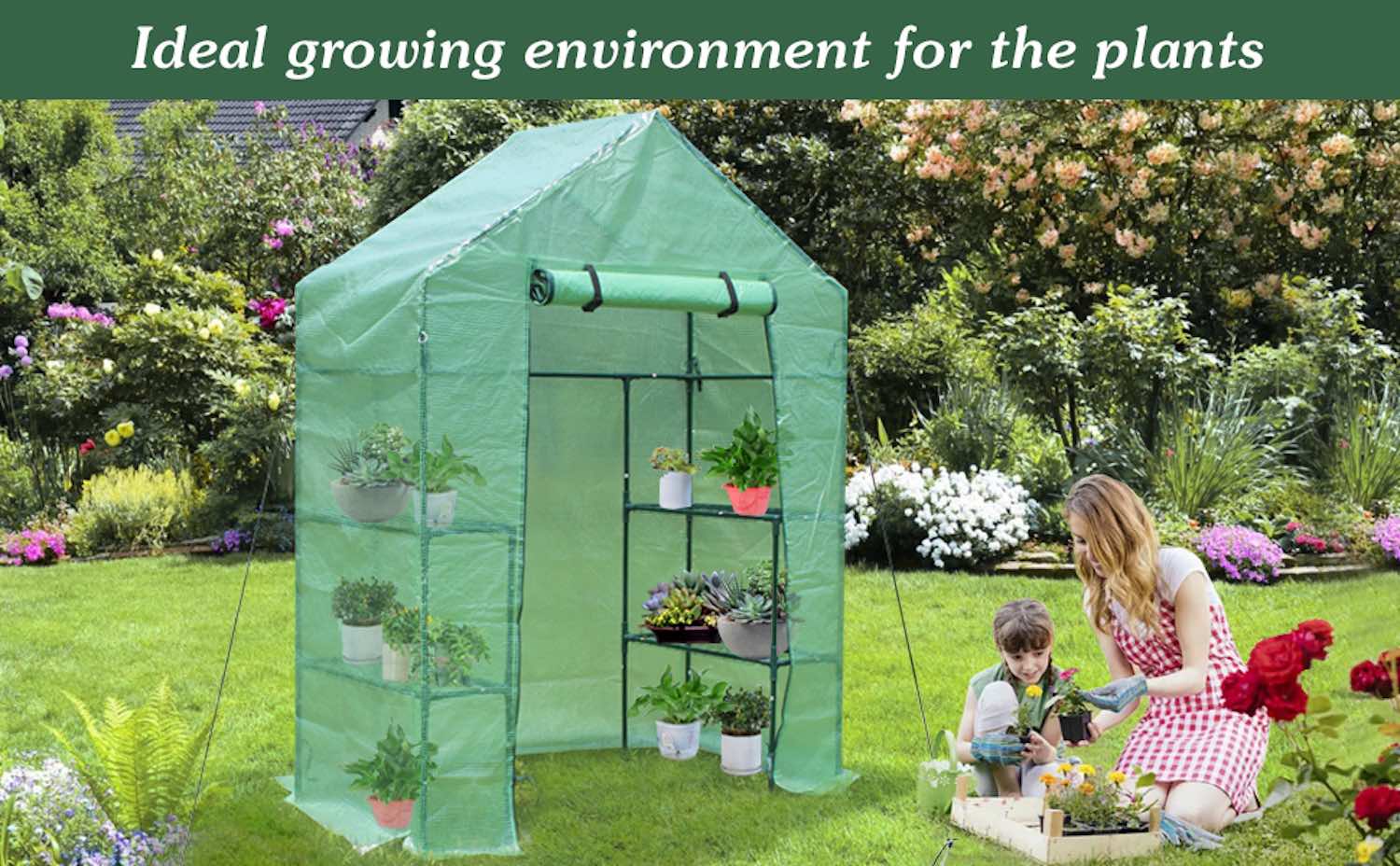 Walk-In Greenhouse: image 8