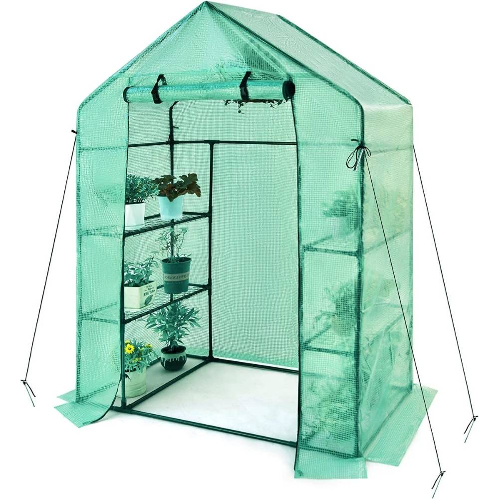 Walk-In Greenhouse: image 12