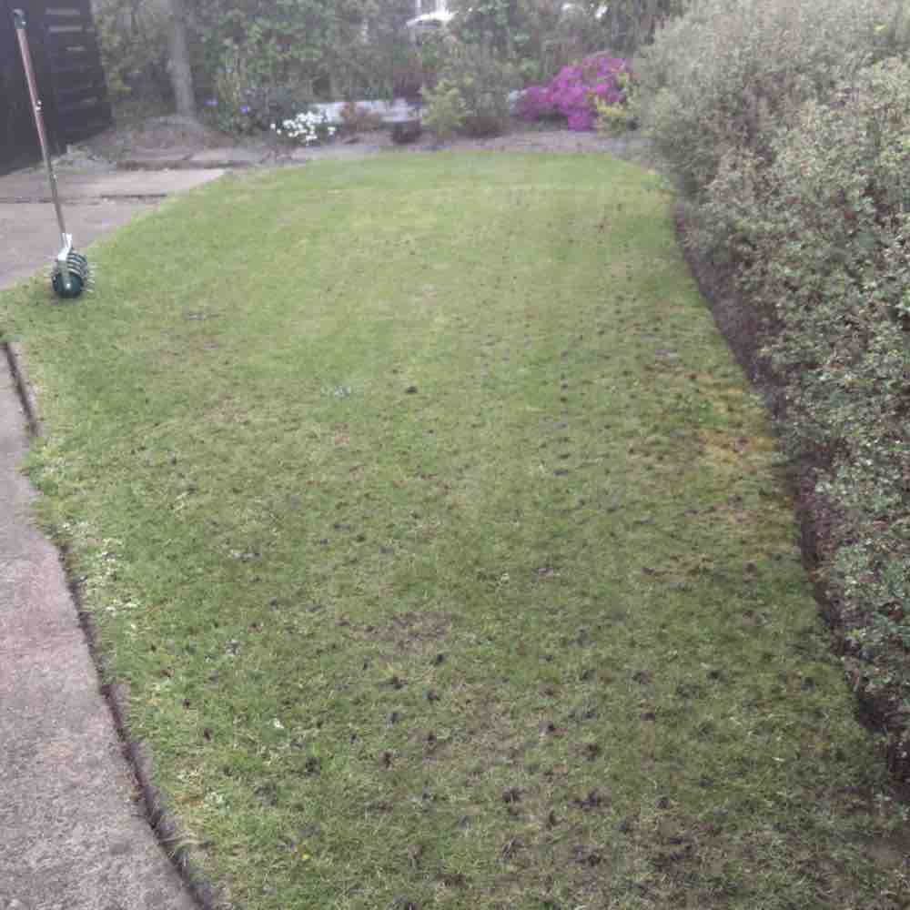 Rolling Aerator: image 10