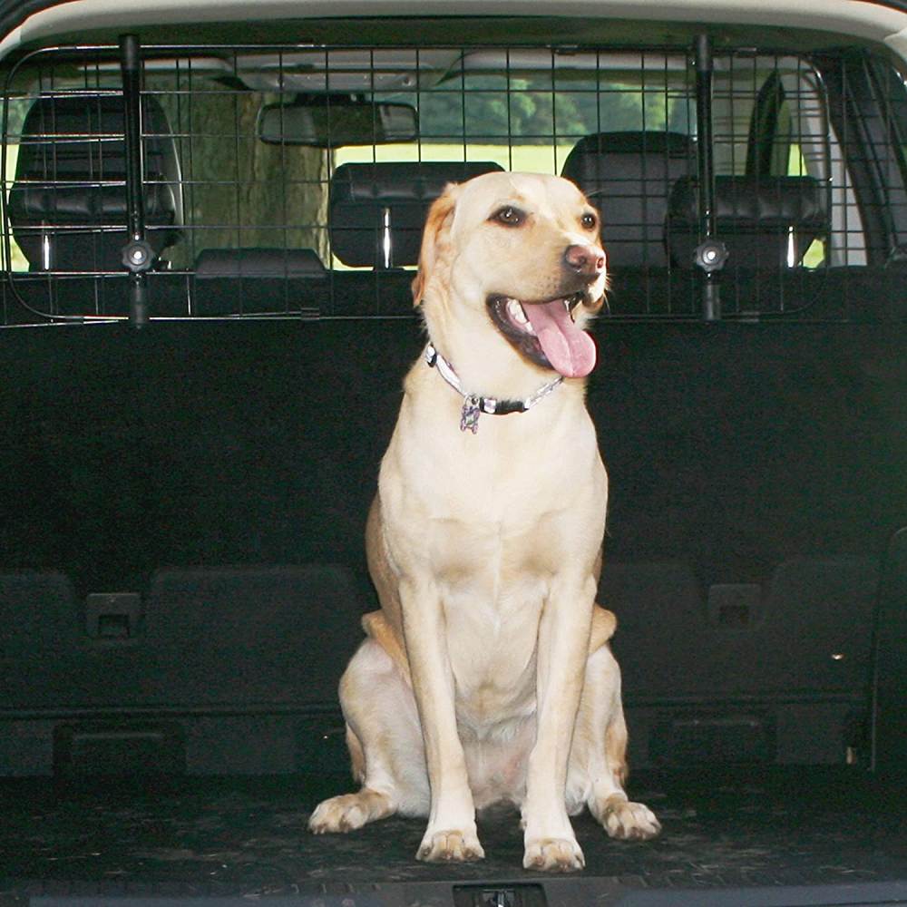 Dog Guard For Cars: image 8