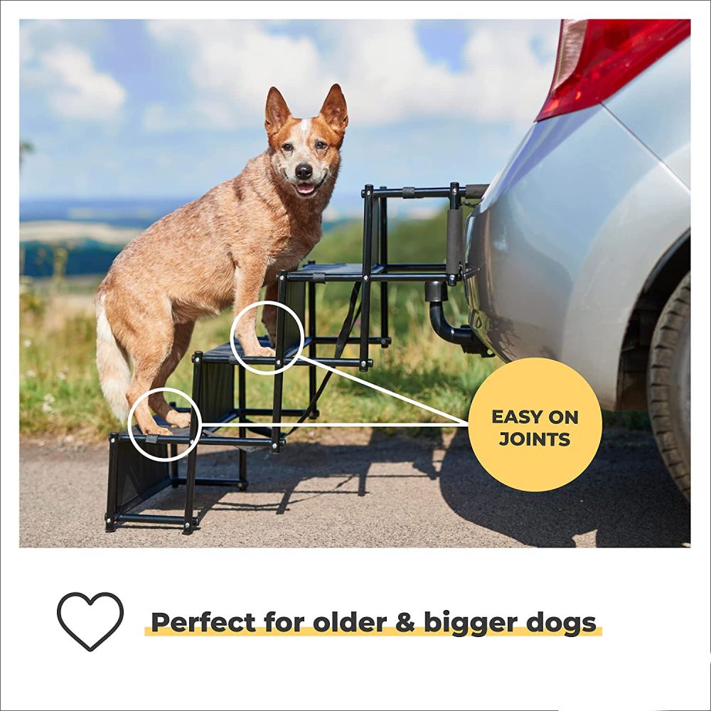 Dog Ramp: image 6