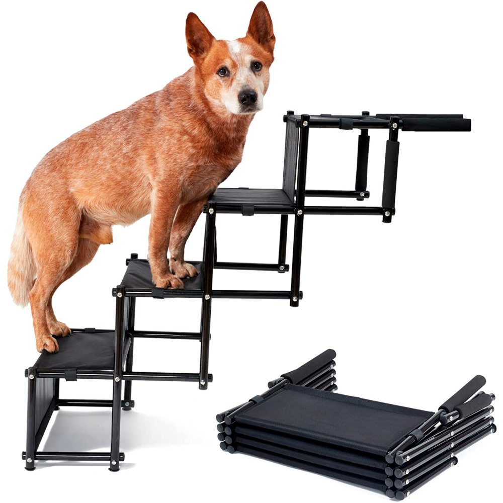 Dog Ramp: image 1