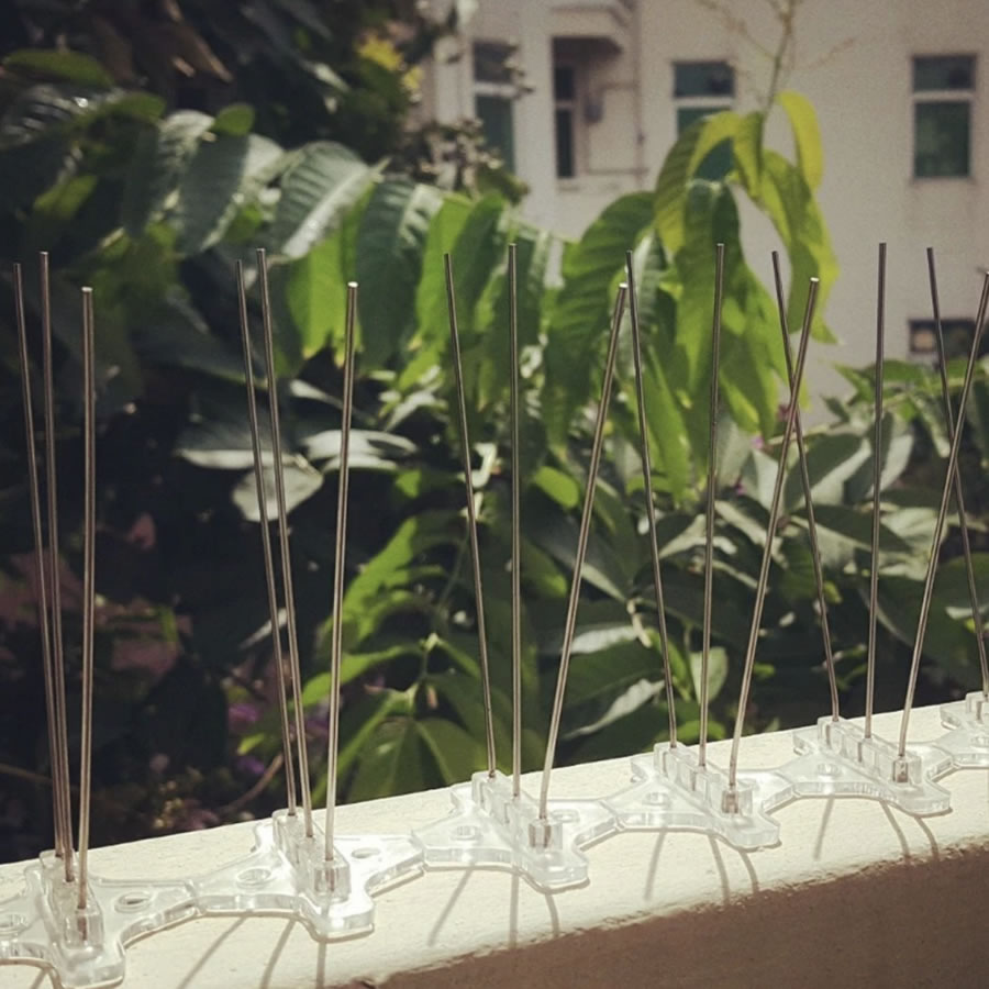 Bird Pigeon Spikes: image 3