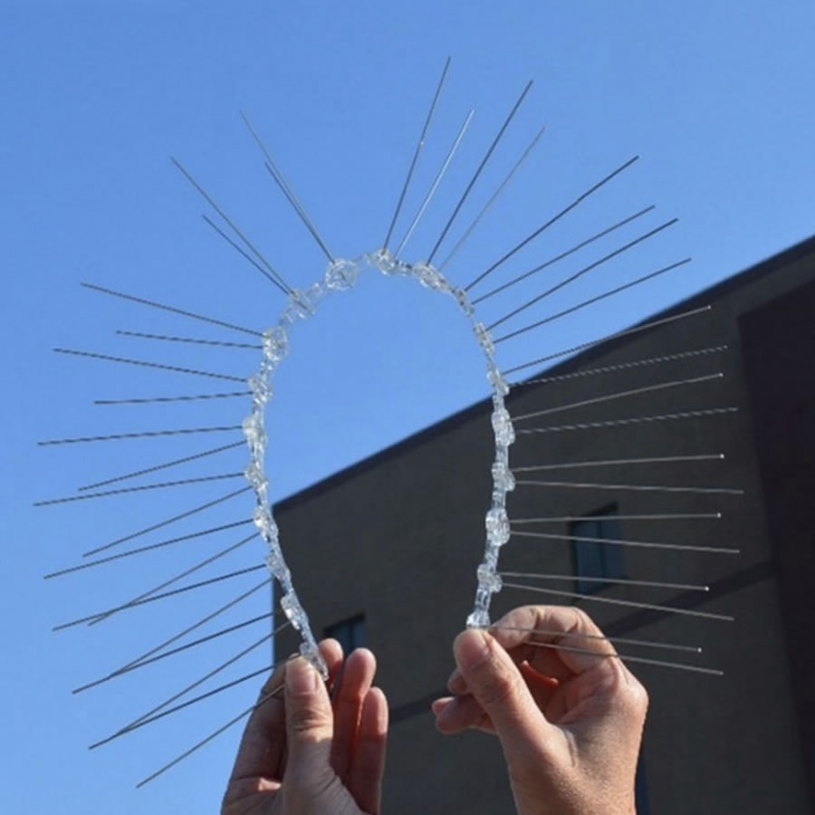 Bird Pigeon Spikes: image 6