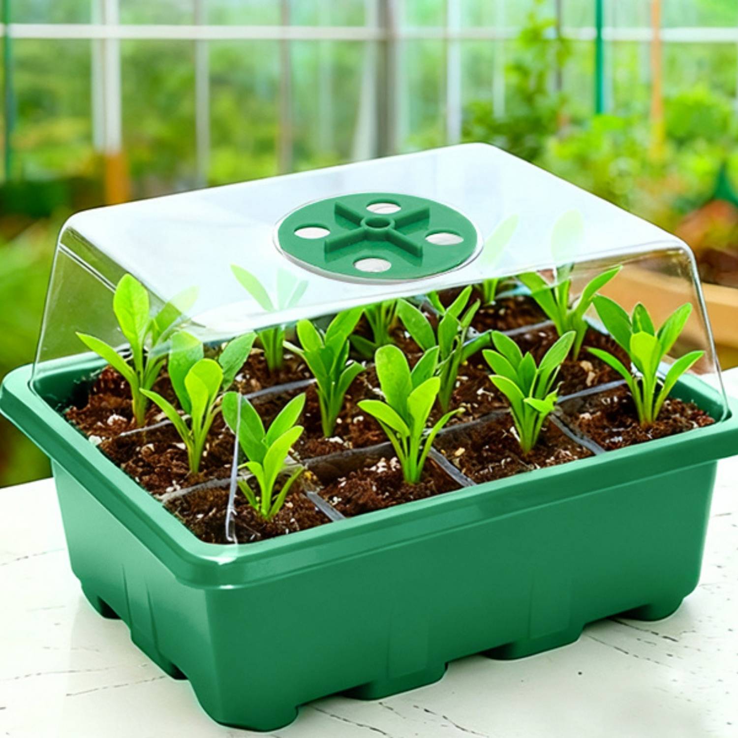 Starter Trays For Seeds: image 6