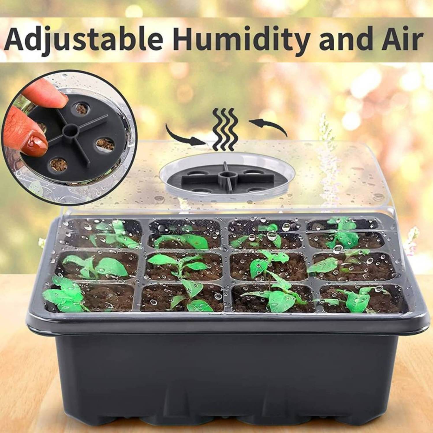 Starter Trays For Seeds: image 8