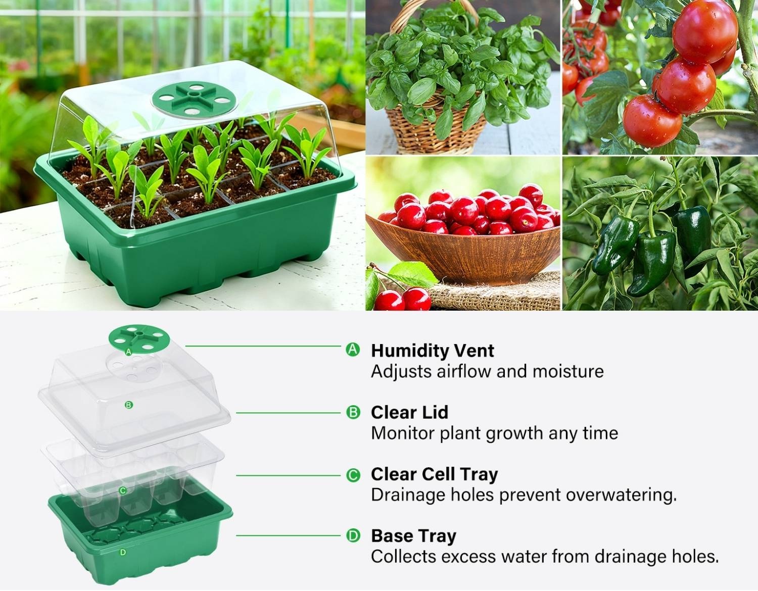 Starter Trays For Seeds: image 11