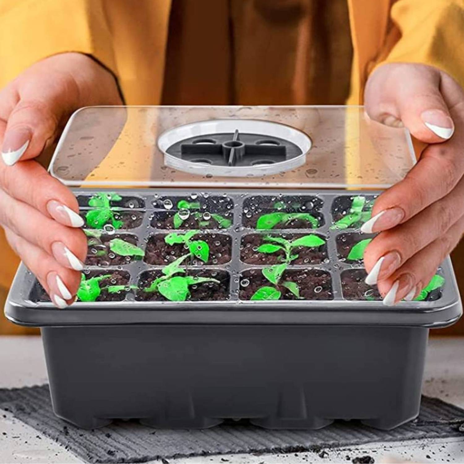 Starter Trays For Seeds: image 13