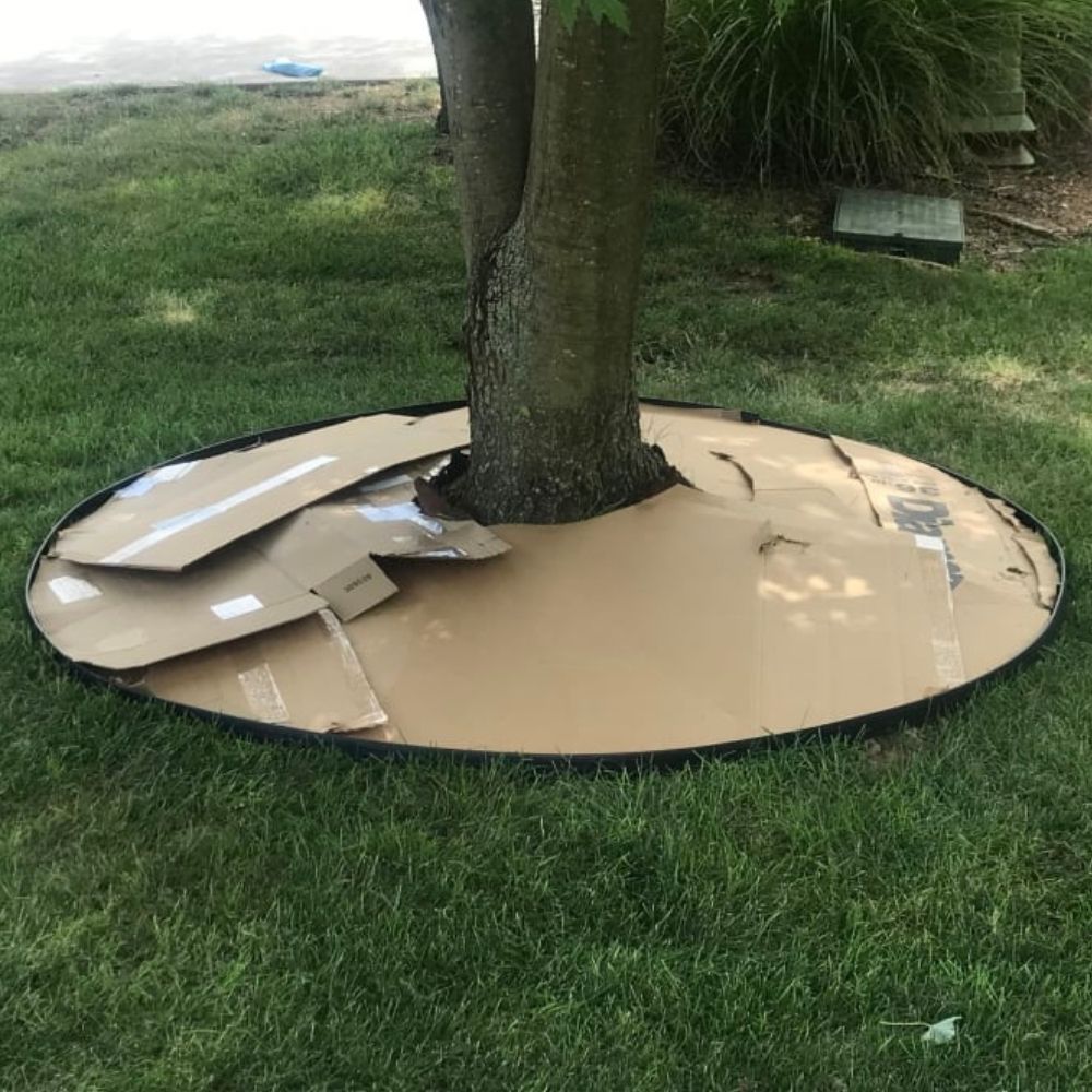 Plastic Lawn Edging - 5cm Face Height (per m): image 12