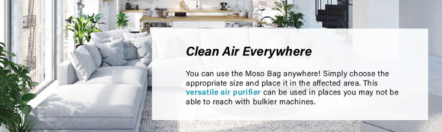 Air Purifying Bag - Single Bag (x1): image 10