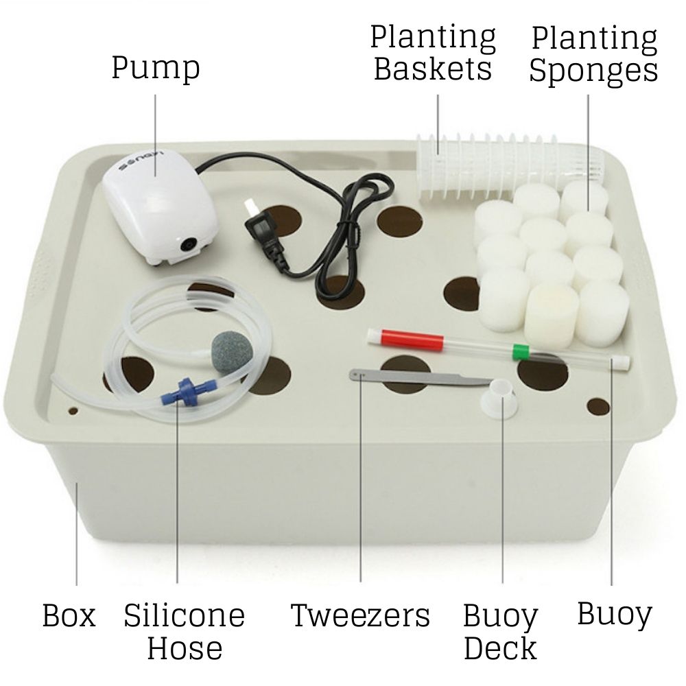 Personal System – 11 Cup System x1: image 3