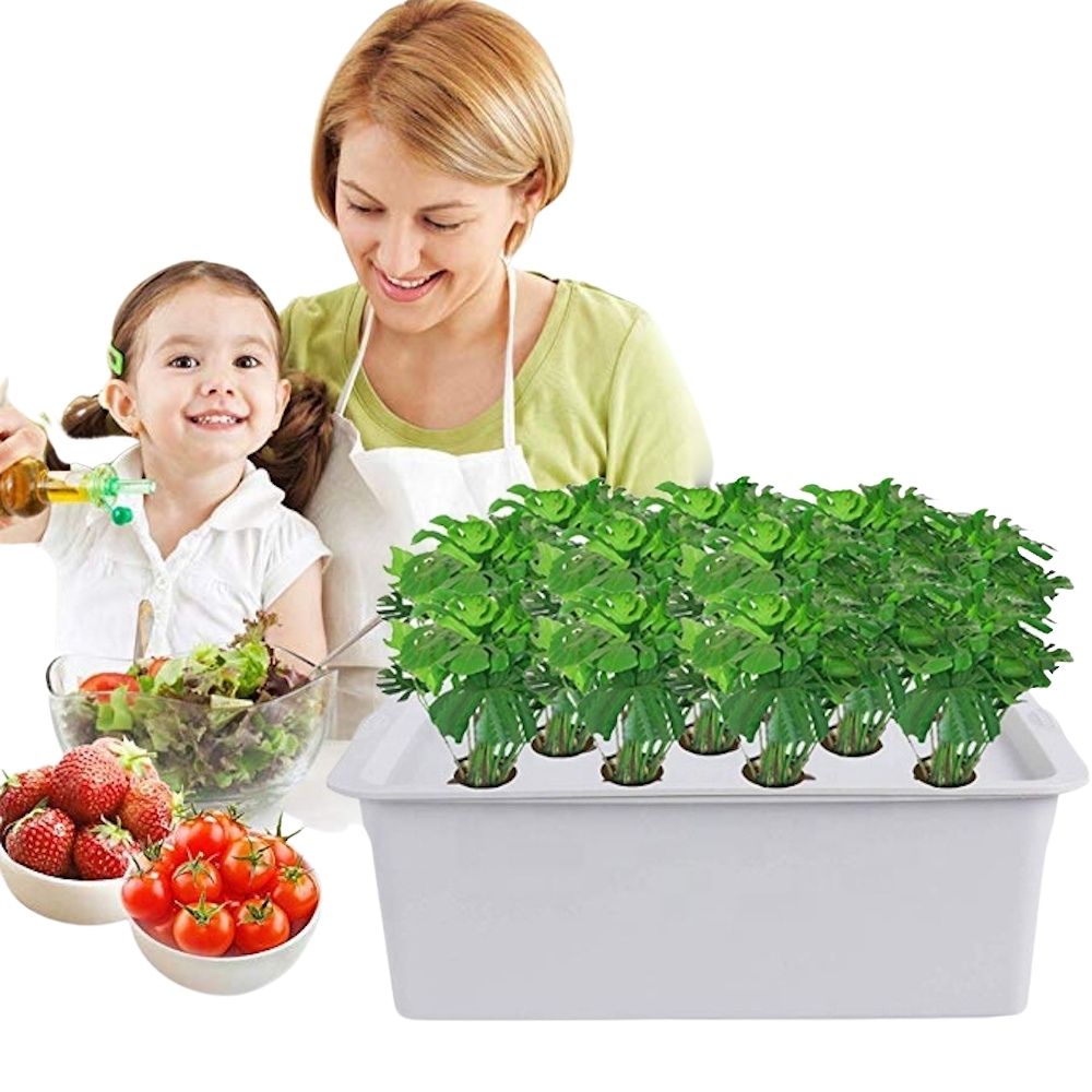 Family Set- 11 Cup System x2: image 6