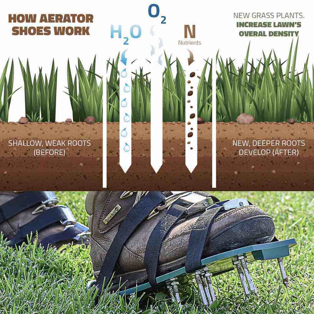 aerator shoes lawn